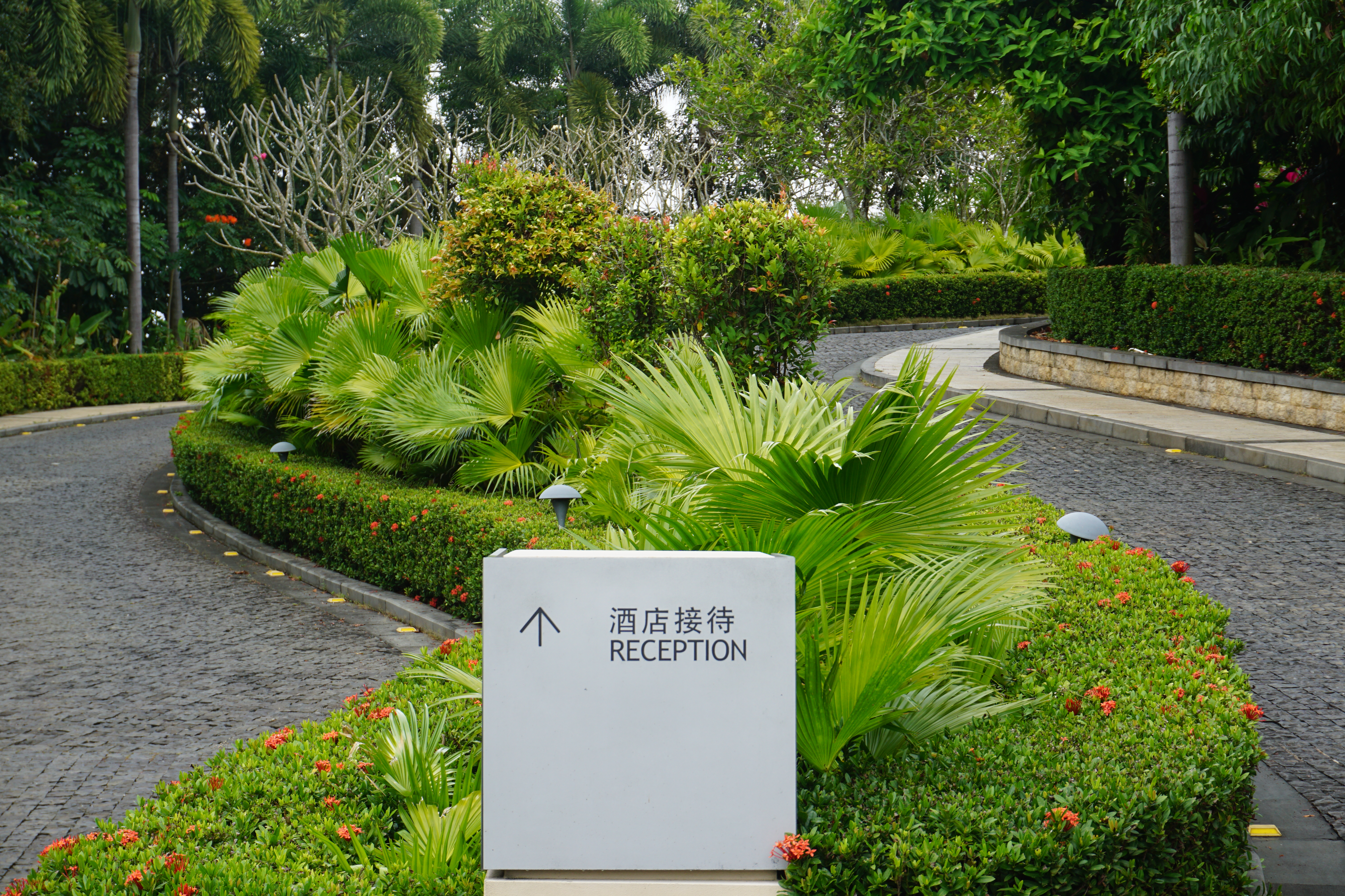 三亚海棠湾康莱德酒店8888房间,康莱德酒店测评