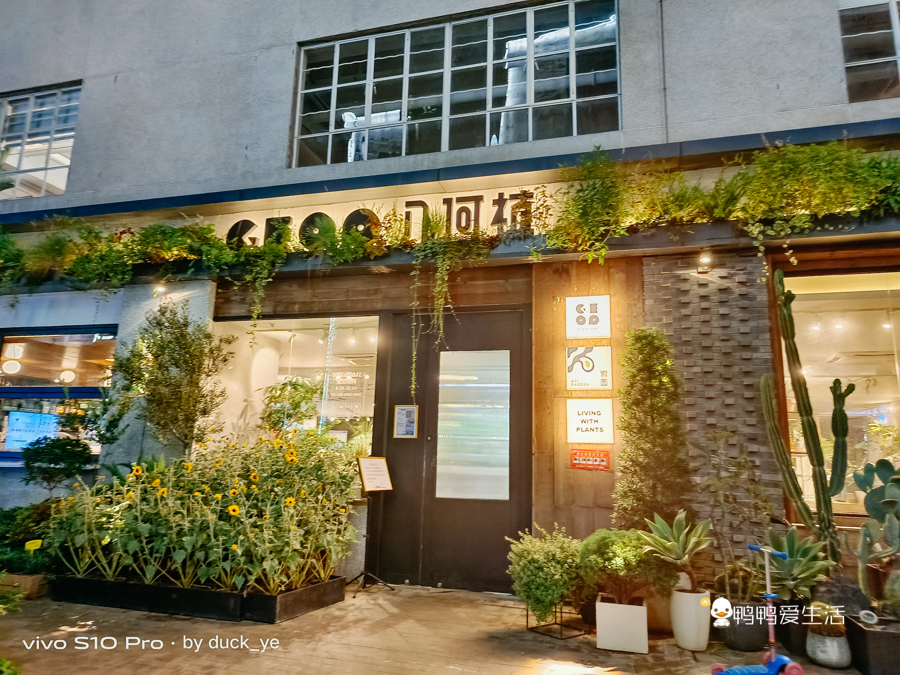 厦门华美空间藏一个绝美拍照地，误入仙境，可吃饭可拍照可看书