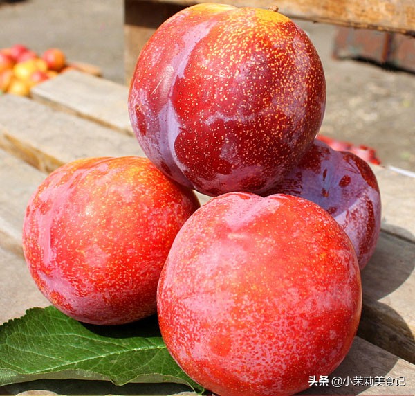 西梅和中国李子有什么区别,西梅跟李子什么区别