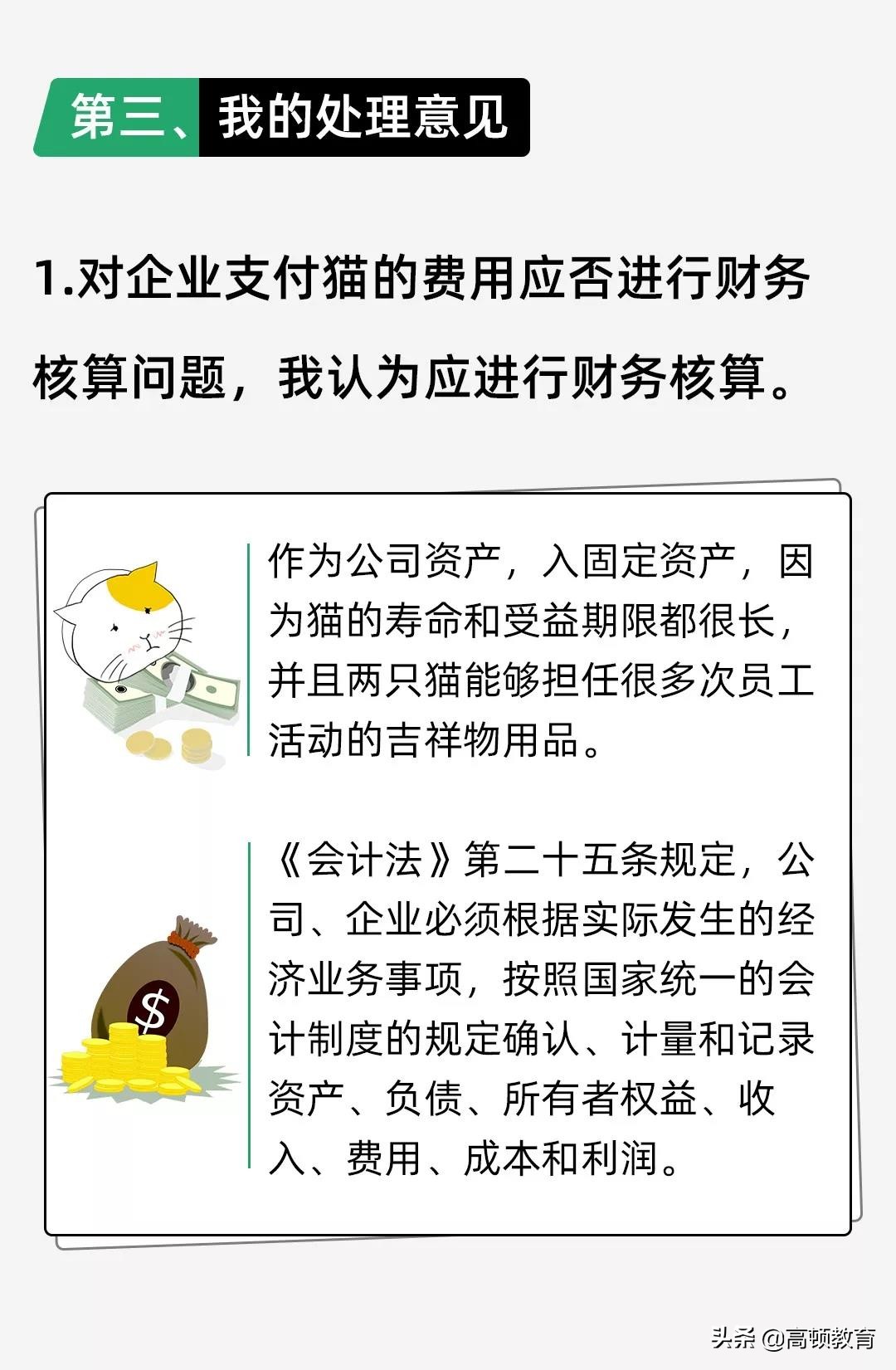 公司买个猫怎么处理,公司买的猫怎么入账