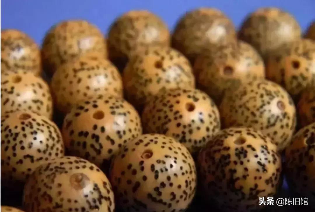 最值得玩的菩提子,真正的菩提子