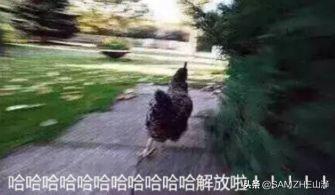 家里的网线会中病毒吗,网线断了自己接会触电吗