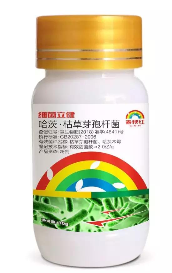 细菌病害最好的药,预防细菌病害用什么药