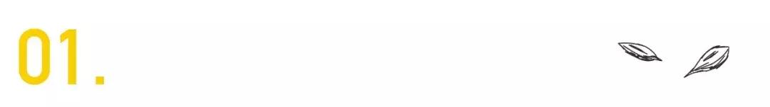 有钱人的快乐你想象不到前一句,有钱人的快乐你想象不到的图片