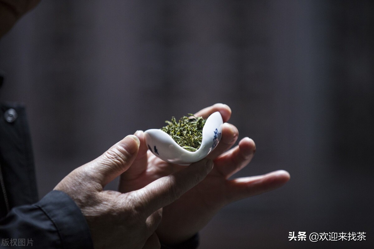 中国十大品牌茶叶排名,中国的十大茶叶品牌最新排名