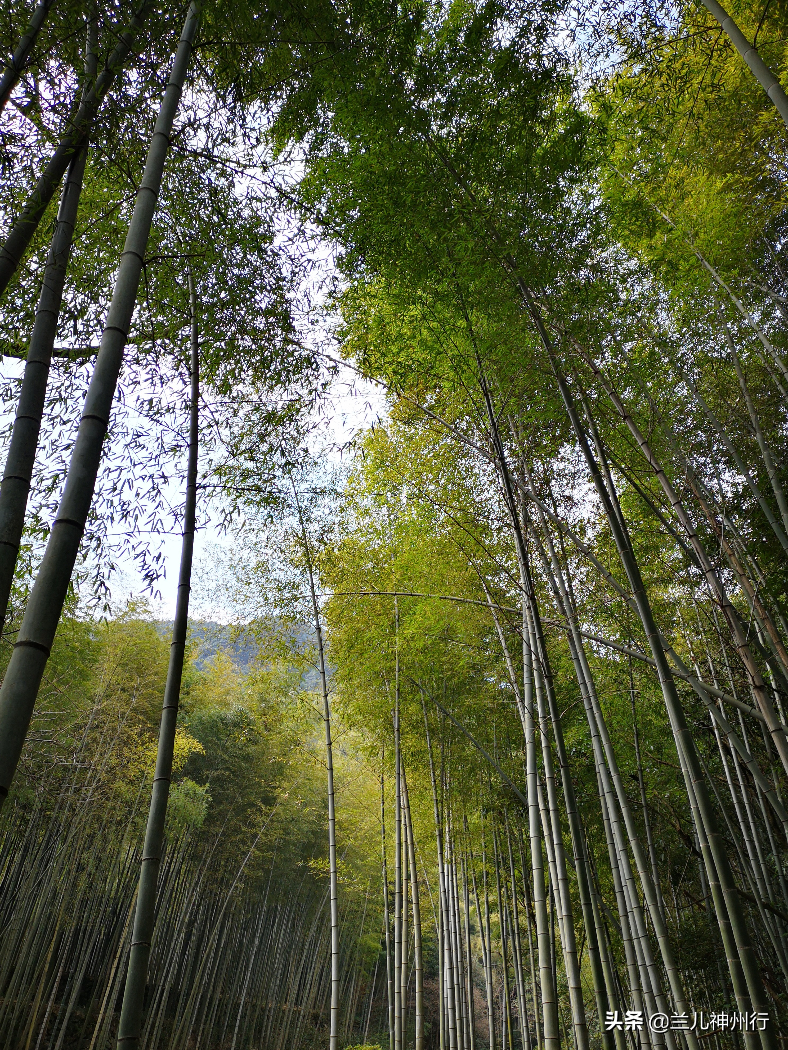 浙东小九寨周边有什么风景区吗,浙东小九寨自驾