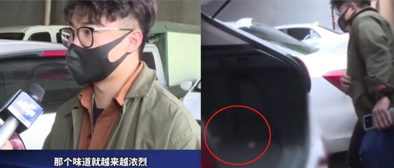 联动云素质检测车,素质检测器联动云