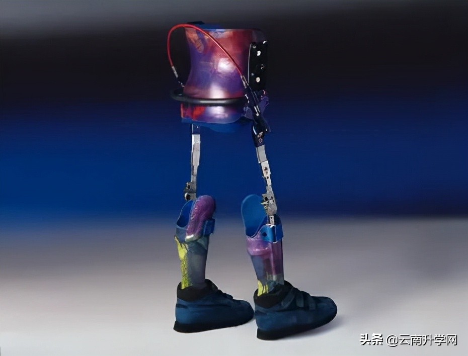 张雪峰十大冷门专业就业前景,北大清华冷门专业就业去向