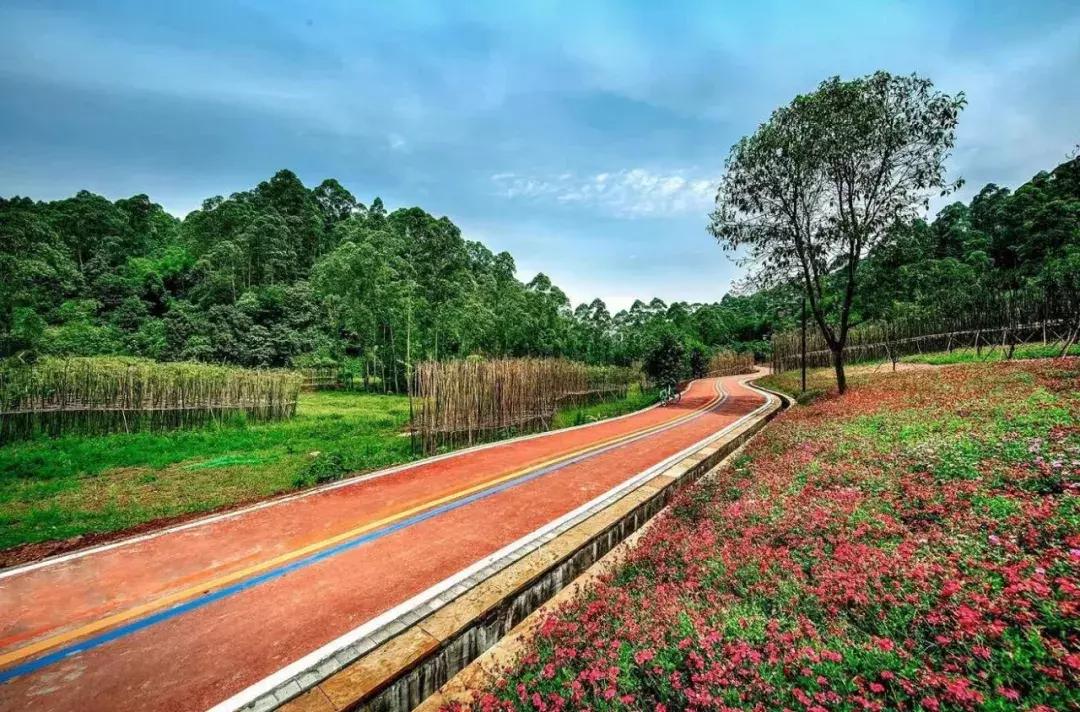 庆祝新中国成立七十周年新闻,庆祝新中国成立70周年活动方案