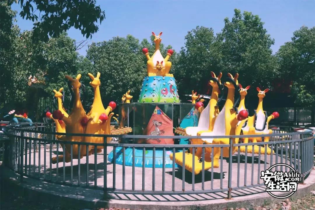 合肥最美的春天景点,合肥春天有哪些好玩的景点