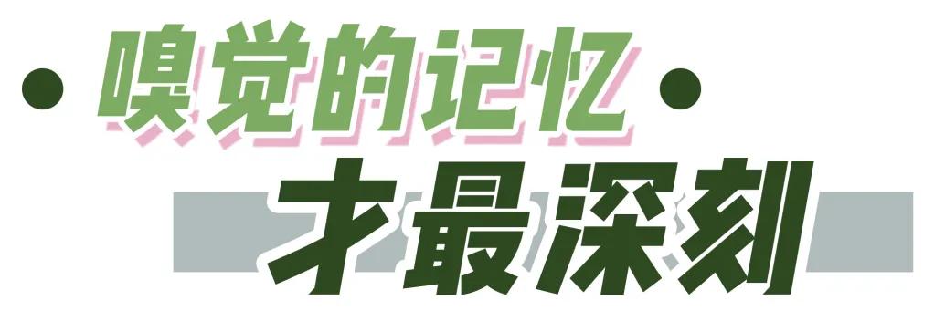 展开说说19瓶自用香水，拔草还是种草你说了算