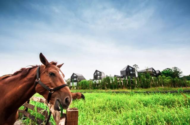 罗浮山浮生御温泉样子,罗浮山浮生六季民宿水上乐园