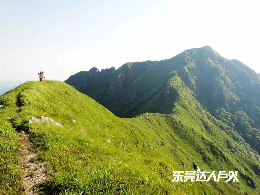 徒步挑战增城第一高峰牛牯嶂,挑战阳山第一峰