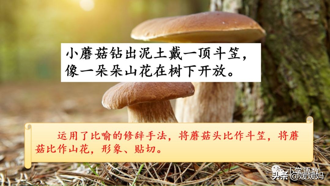 三年级下册语文第18课水墨画,三下语文18课童年的水墨画