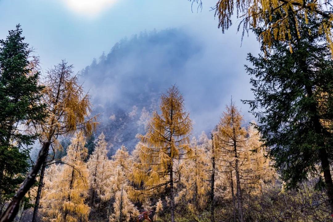 绫充簹缃楅湼鐜嬪北鏃呮父瑙嗛,绫充簹缃楅湼鐜嬪北鍏ㄦ櫙