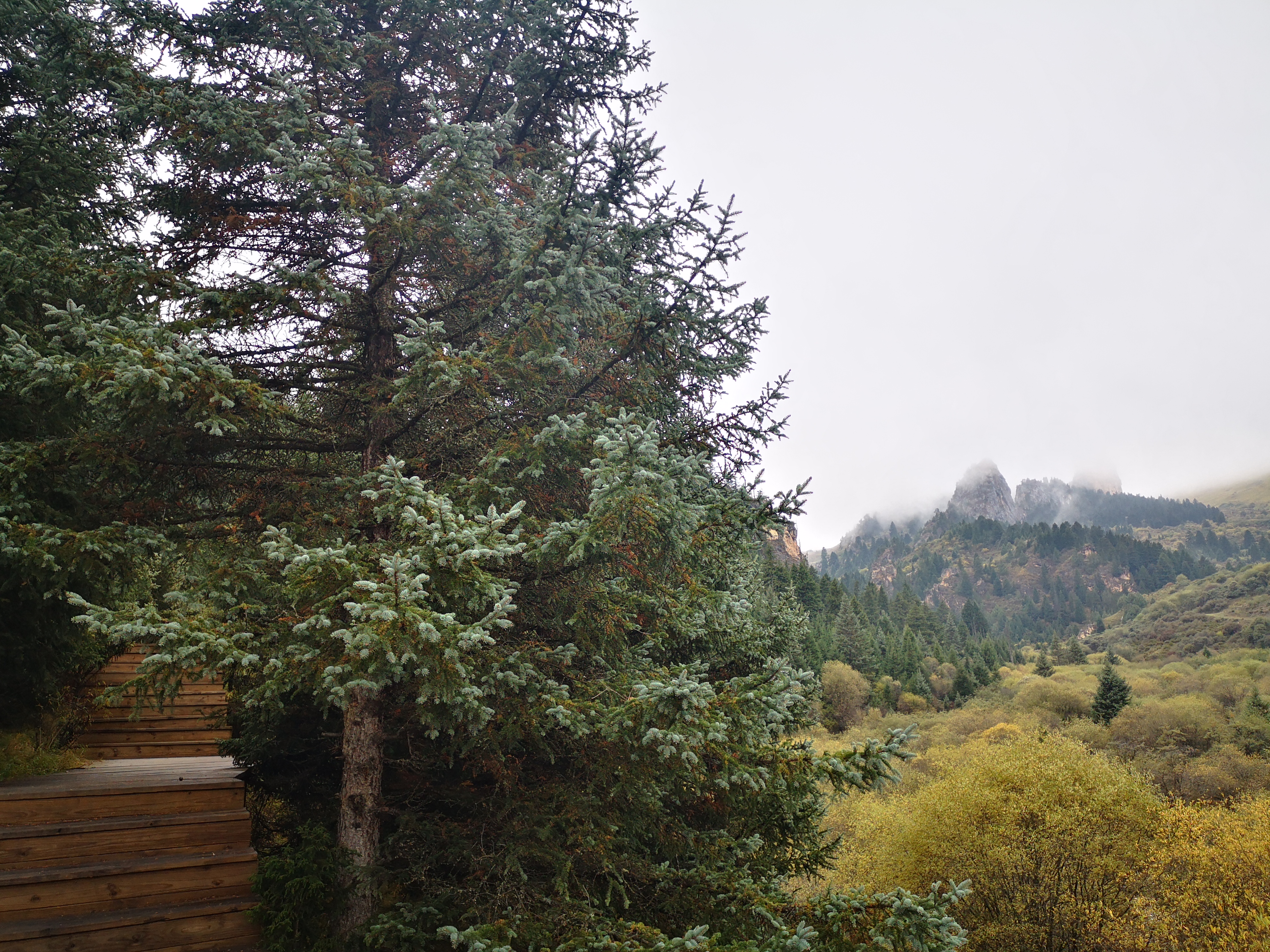 则岔石林游记,尕海湖和则岔石林