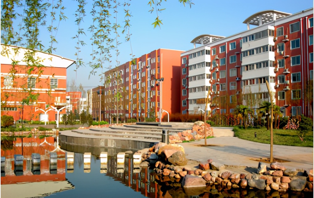 同样是当老师,私立、公立、机构各有哪些利弊,求职请慎重