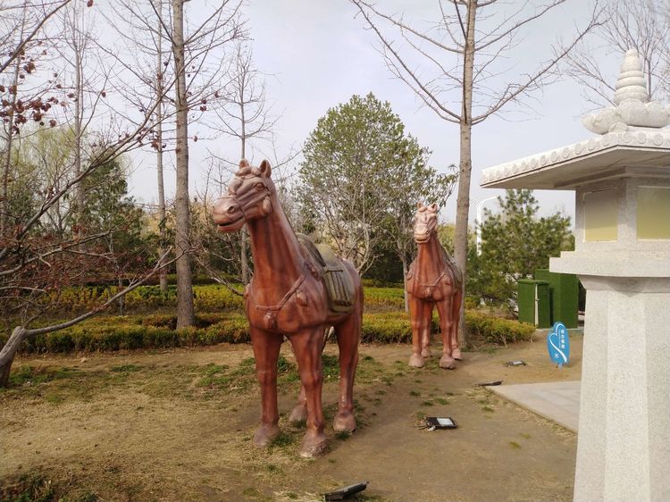 郑州园博园开放最新通知,园博园郑州门票最新信息