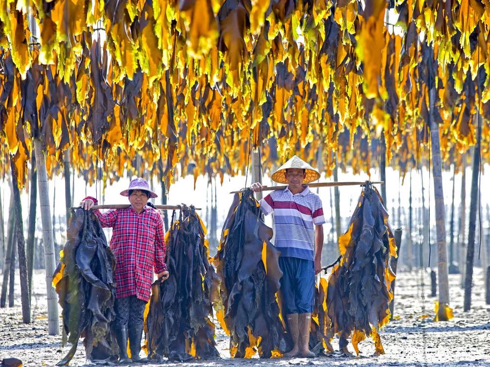 记忆中的宁德美食,福建宁德吃海鲜去哪里
