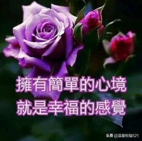 有品位的早安短语祝福短信,虎年大年初三早安祝福短信