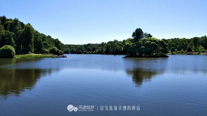 约维奇出现欧洲杯赛场,圣彼得堡约会视频