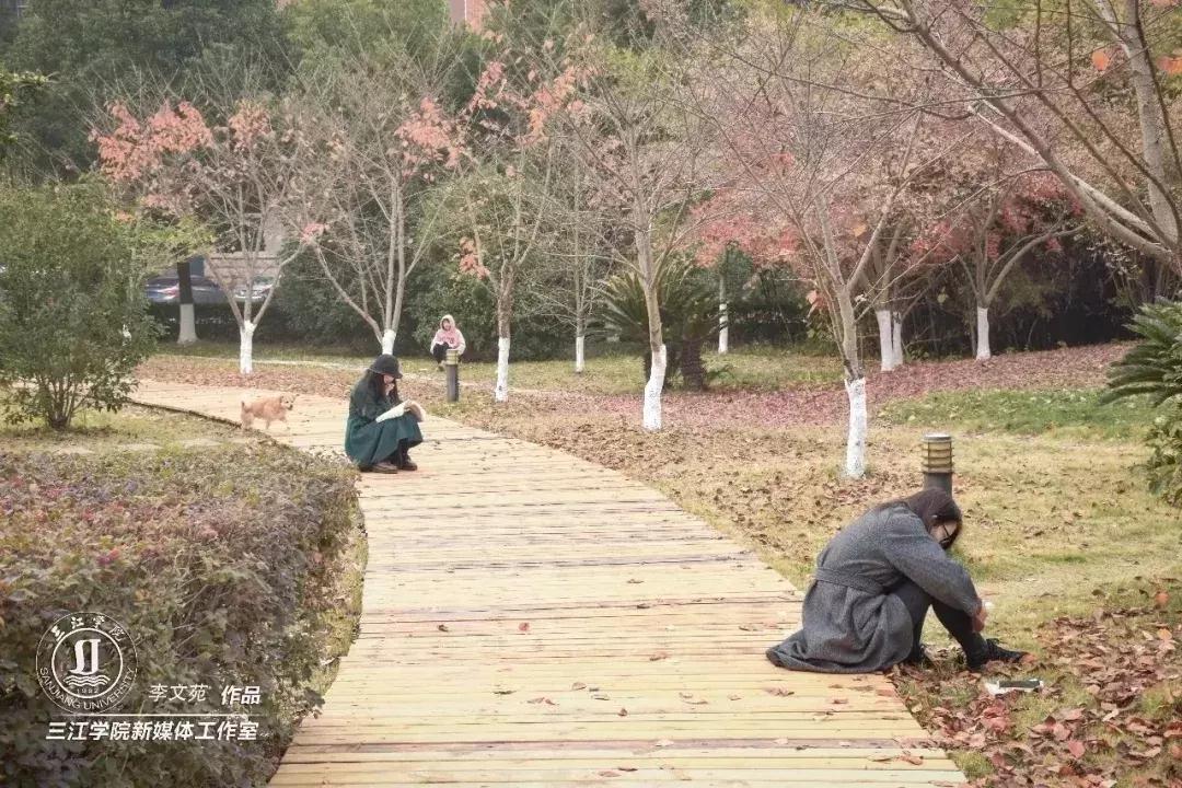 江苏三江学院,江苏三江学院录取分数线