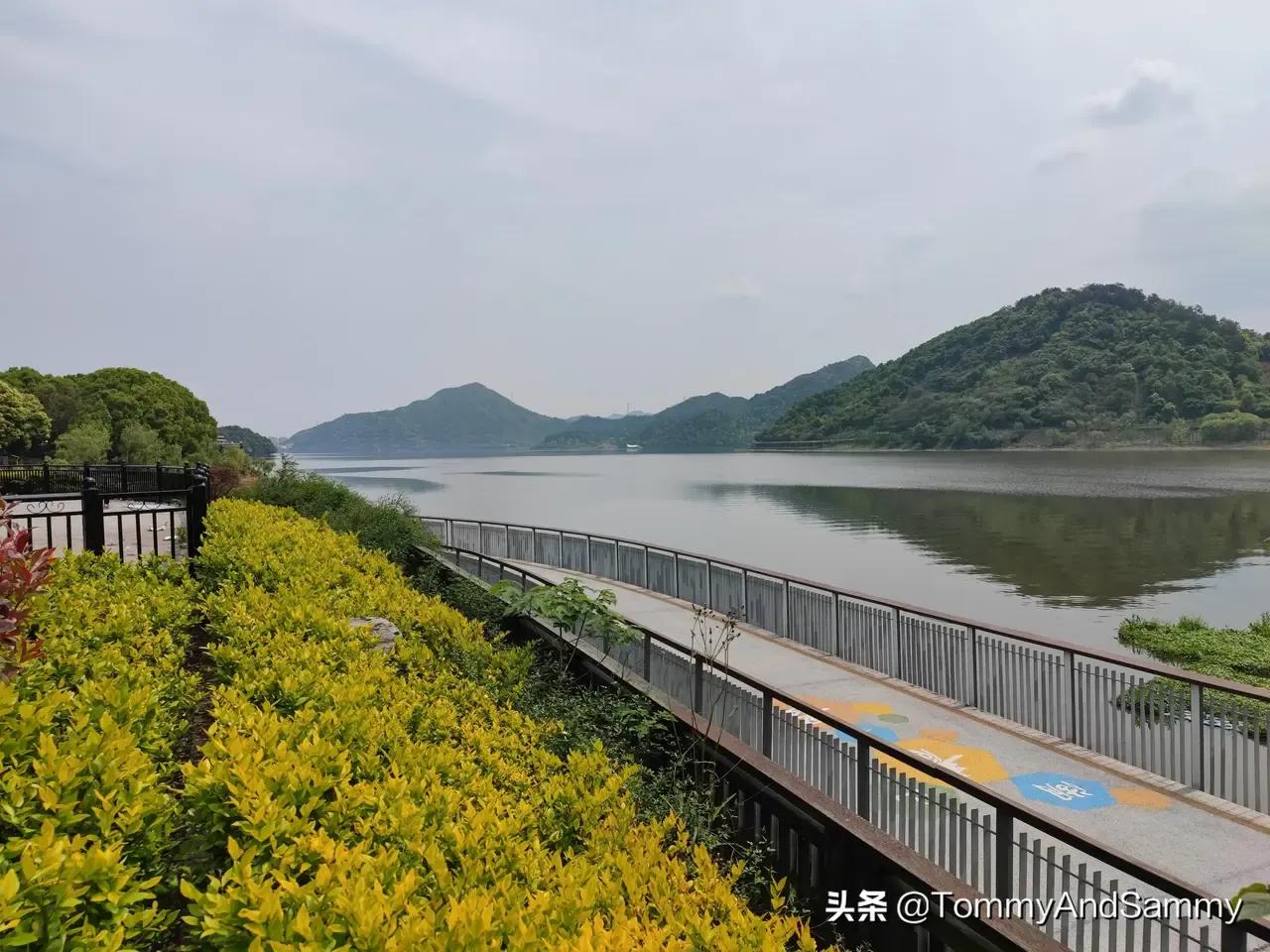 到底杭州好在哪里？