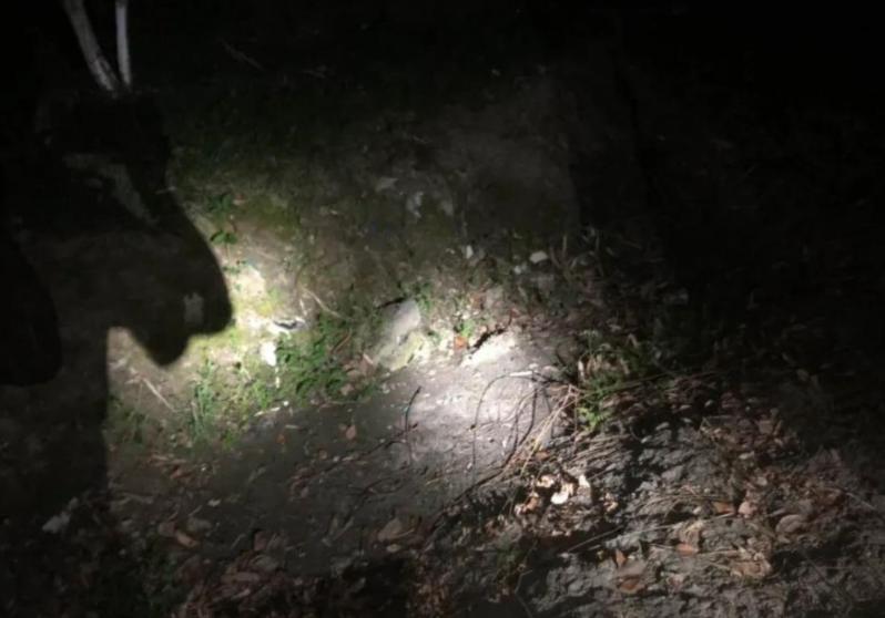 日本犬鸣村诡异事件,无数人在此自杀,近乎无人走出此隧道