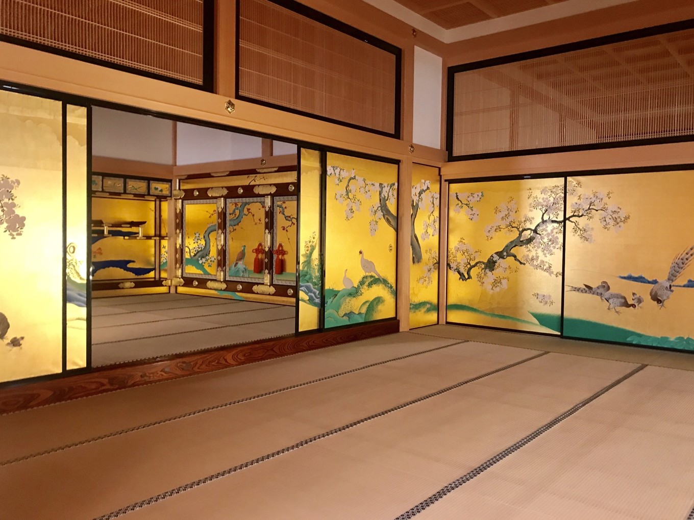 青春18旅游通票怎么买,坐jr游日本