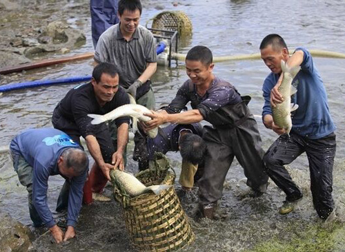 2019年让农民闲不下来的6个创业!