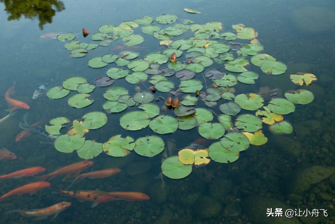 小满未满小得盈满,小满知足盈满常乐