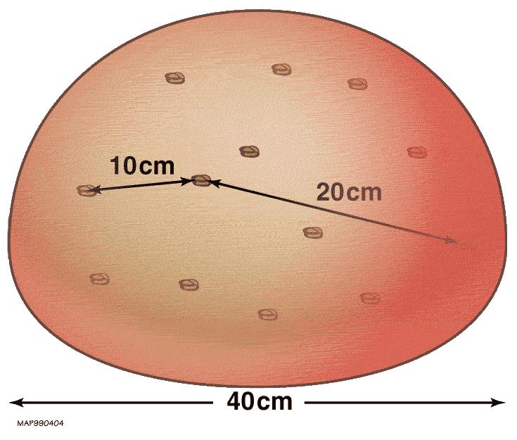 我们能看到多少恒星,目前最古老的恒星是什么