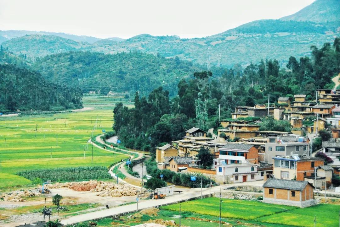 被烧之前的云南翁丁原始部落,我国最古老的村庄被烧毁