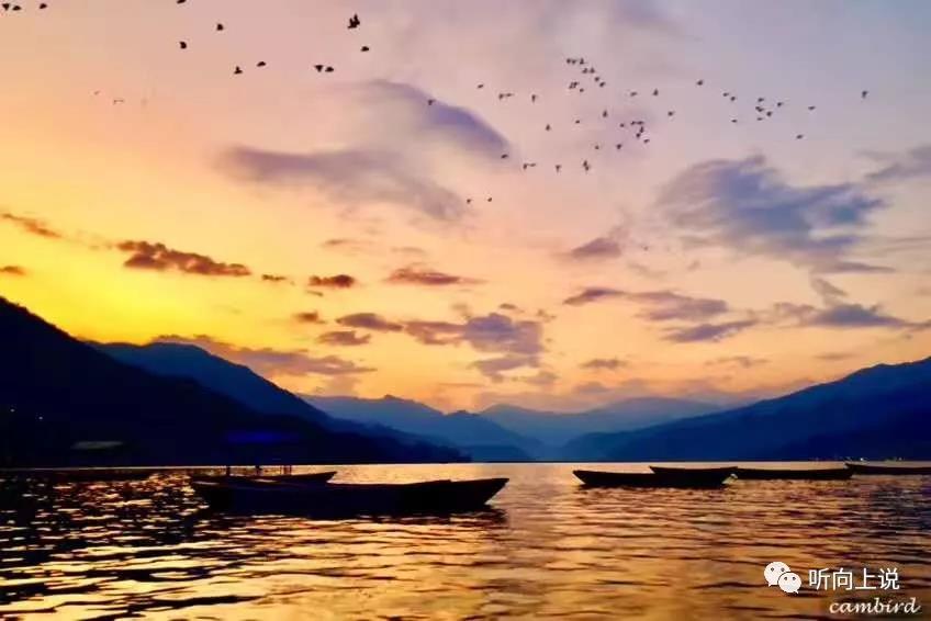 深圳二线关,深圳二线关口什么时候撤销的