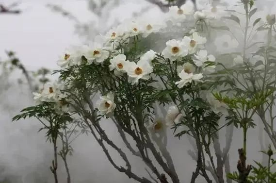 中国县城现状原文,中国县城现状深入调查