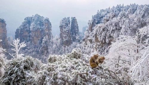 广州到张家界自驾游详细攻略,南昌到张家界自驾游详细攻略