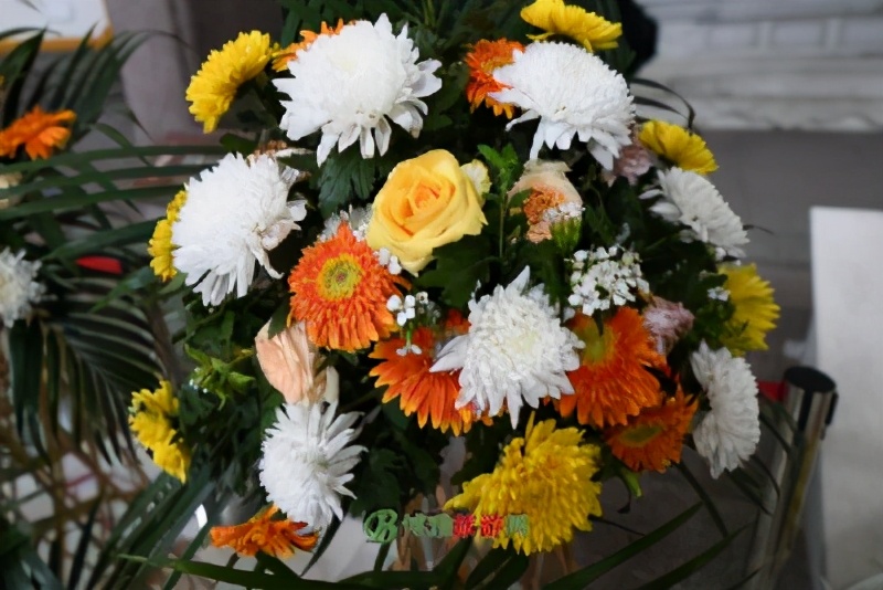 丽水旅游攻略自助游推荐,丽水市旅游攻略一天游