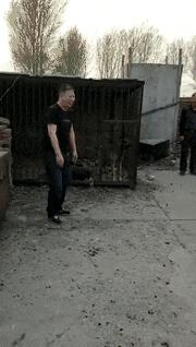 这只鹦鹉一直以为他是一只猴,所以每天都在重复做这个动作