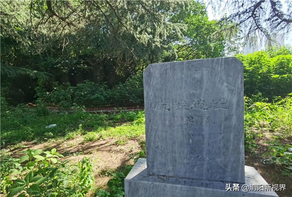 南阳酒精厂旧址,南阳酒精厂来历