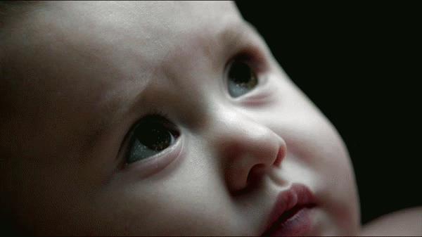 人类其实就是一个细胞,人类其实是宇宙的细胞