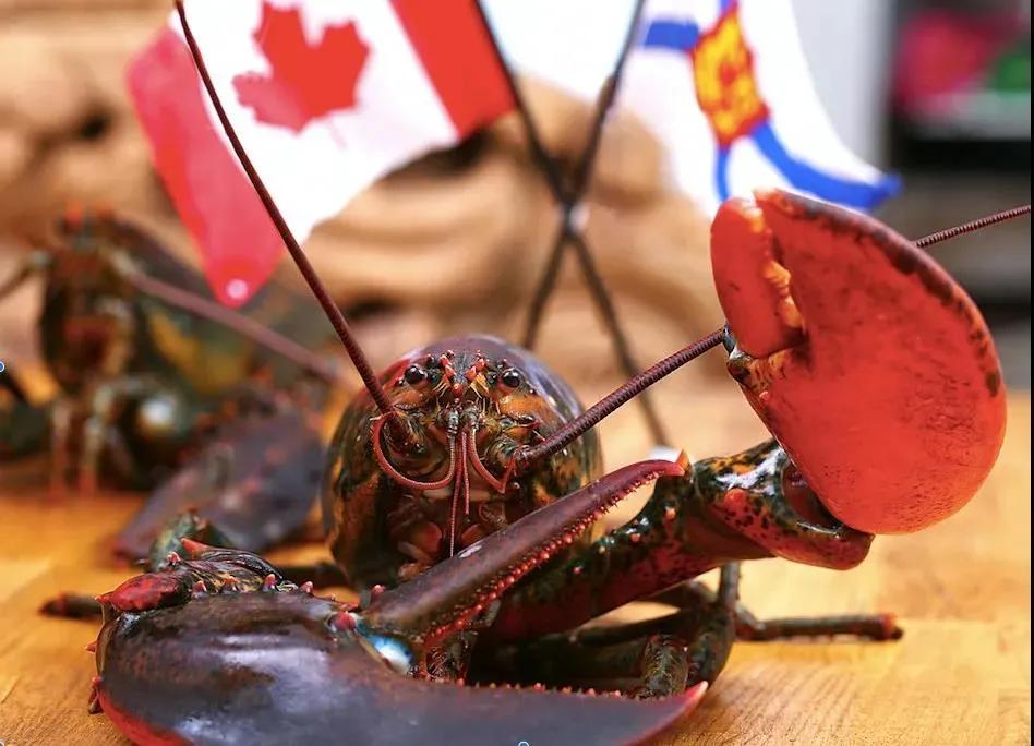 缇庡浗娉㈠＋椤垮埌缃楀垏鏂壒,浠庢尝澹】鍒板姞鎷垮ぇ