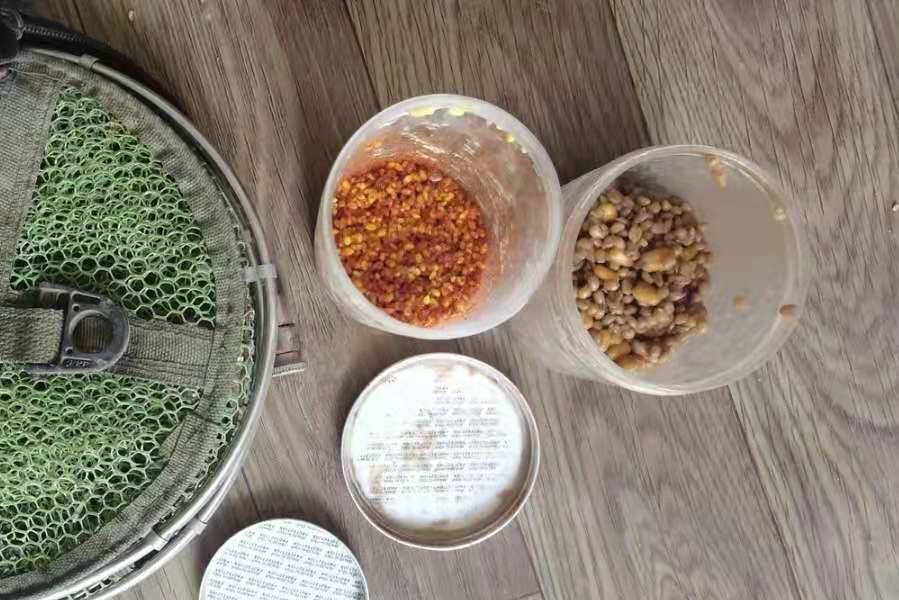 教你钓鲤鱼的独门技巧,钓鲤鱼注意五个细节和手法