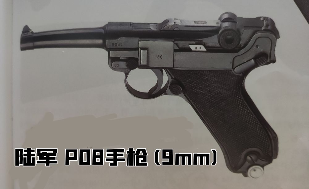 英国枪史图册全篇,德国枪图片