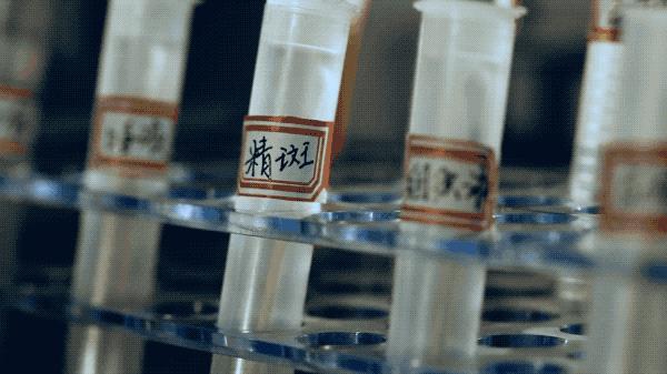 央视重口法医纪录片,网友直呼看不过瘾