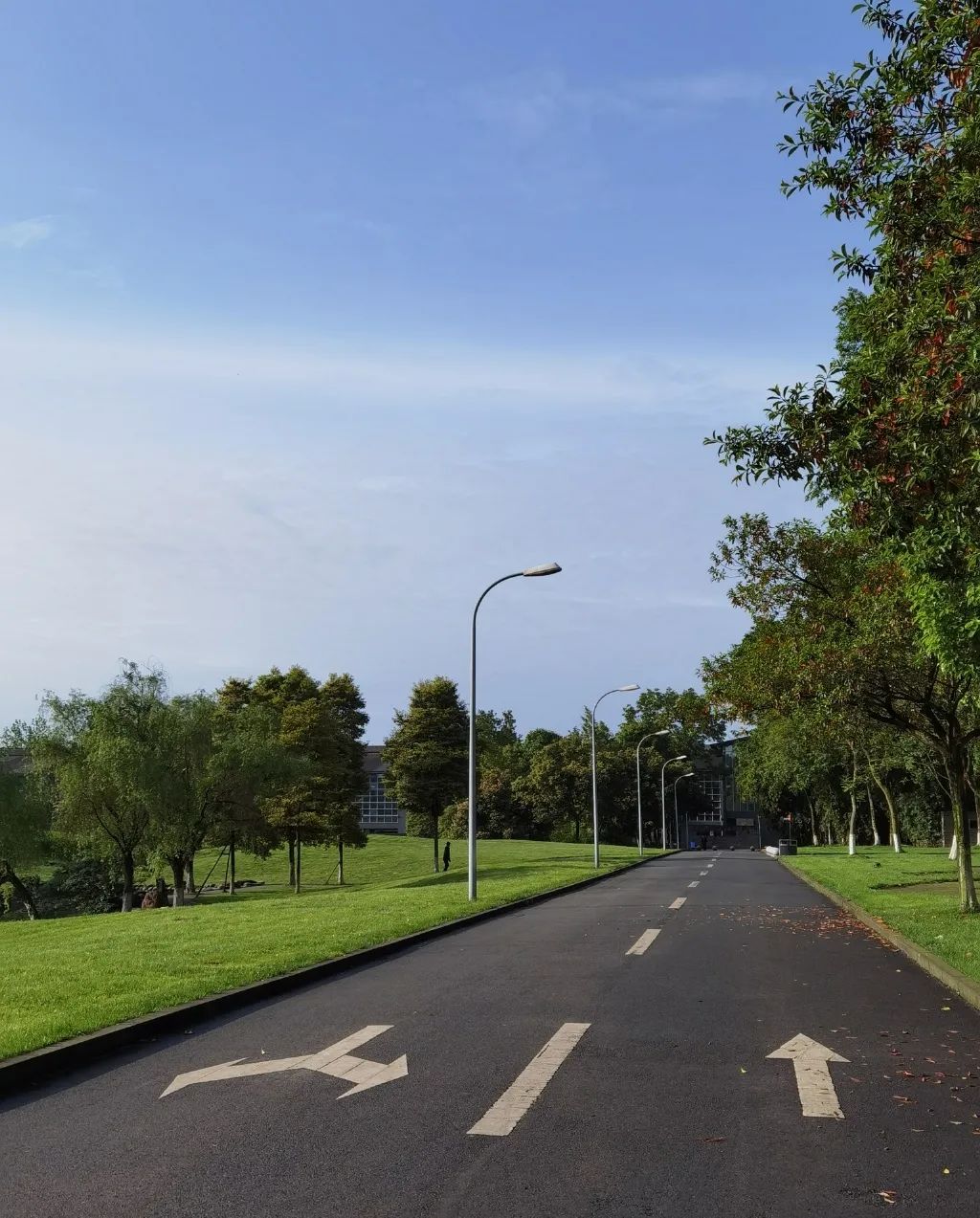 东软，青城山下最大的养老院型综合网吧