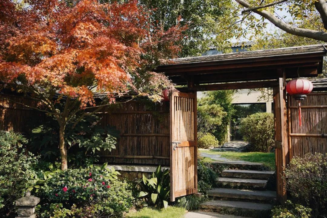 打卡南京西路新荣记,打卡新荣记