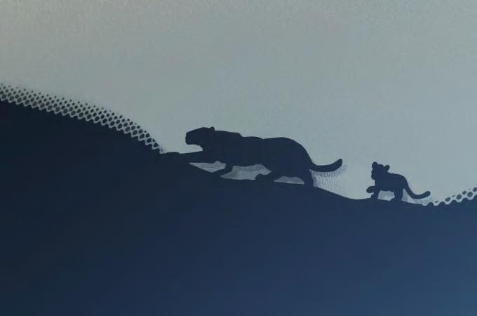 捷豹f-pace2018款,捷豹f-pace2022