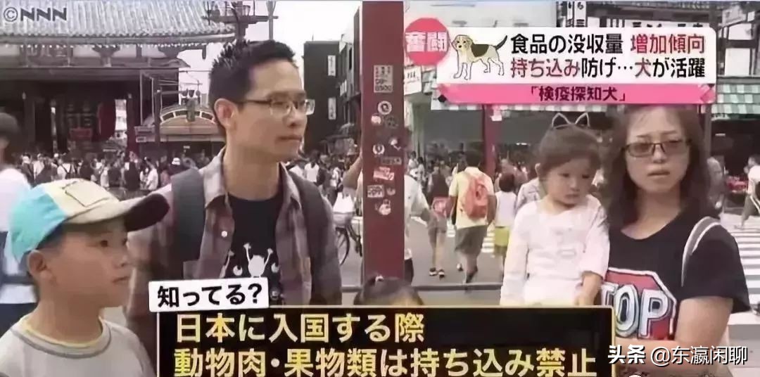 去日本看不懂日本文字怎么办,去日本不知道怎么说日语怎么办