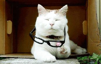 十大抗疲劳神器排行榜,十大抗疲劳产品排行榜