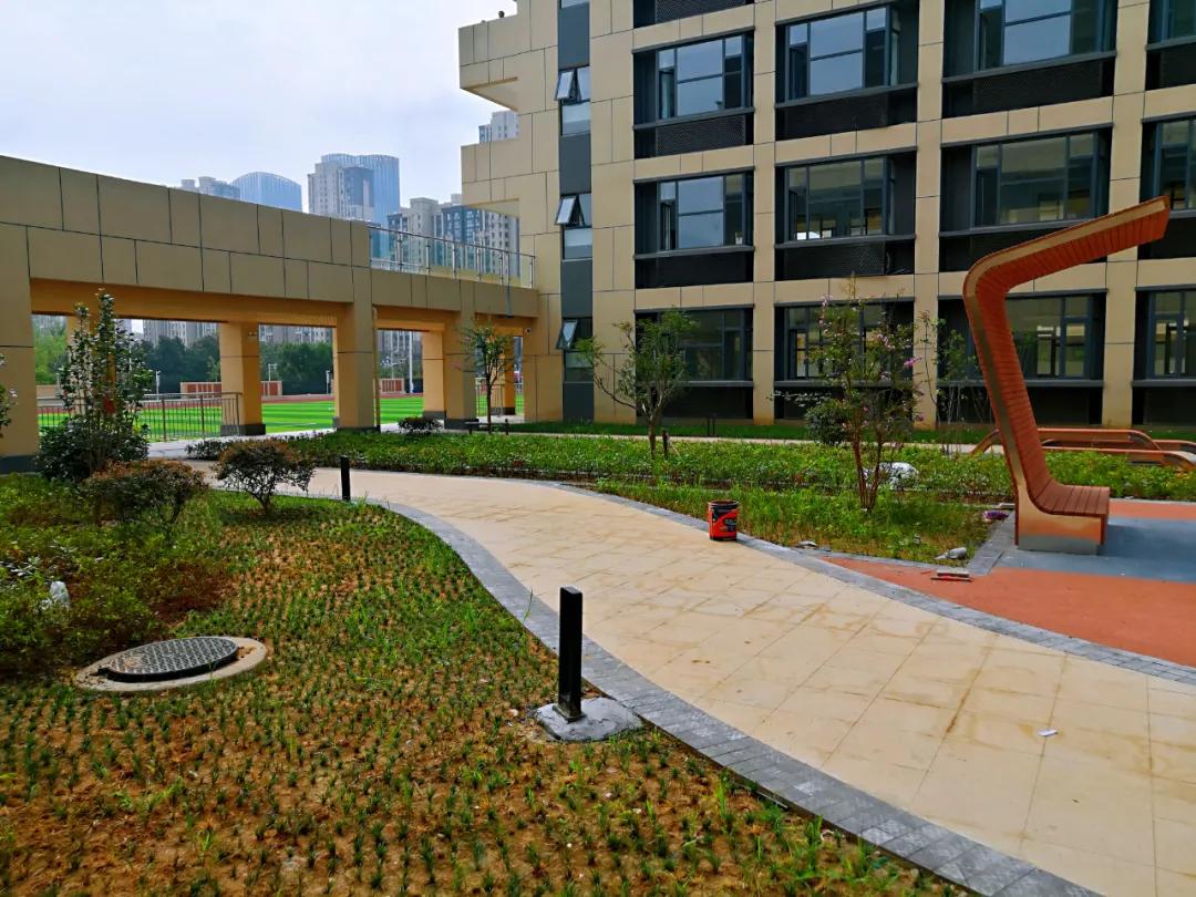 金陵小学和南师附小哪个好一些,金陵小学仙林湖校区一学期学费